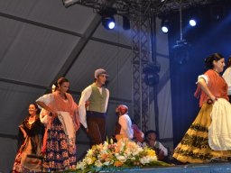 Festival de Folkore en Mula